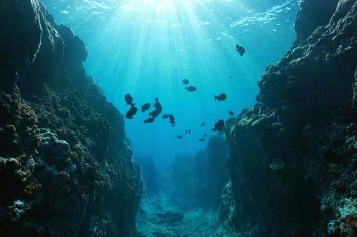 challenger deep m.jpg