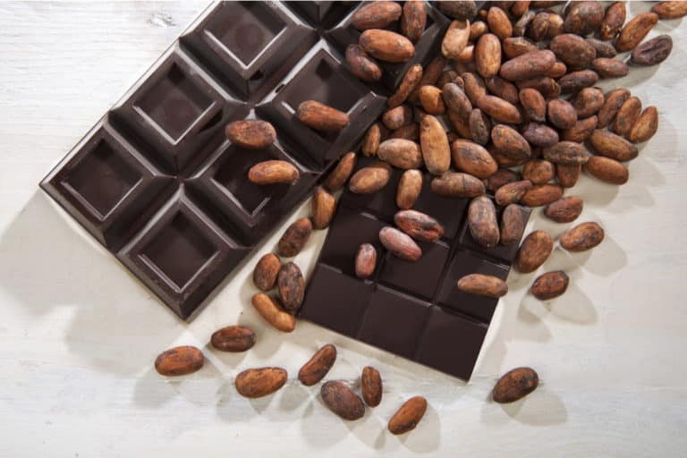 cioccolato fava di cacao.jpg