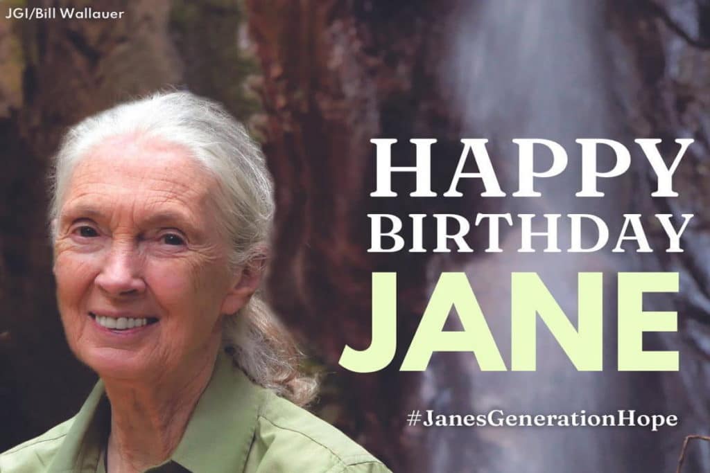 compleanno jane goodall.jpg