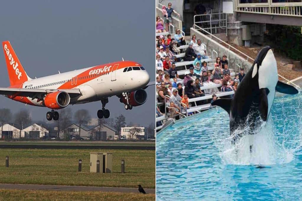 easyjet attrazioni.jpg