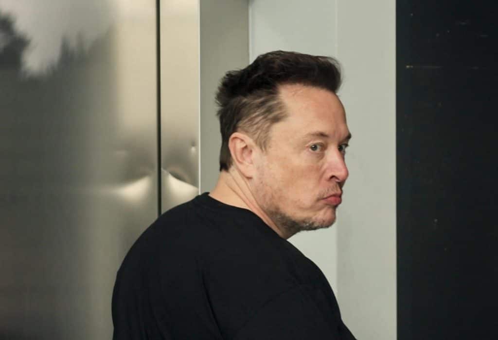elon musk.jpeg
