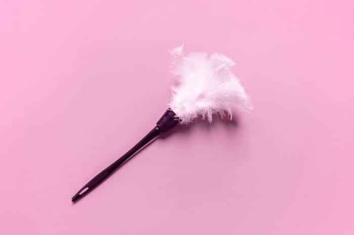 feather duster m.jpg