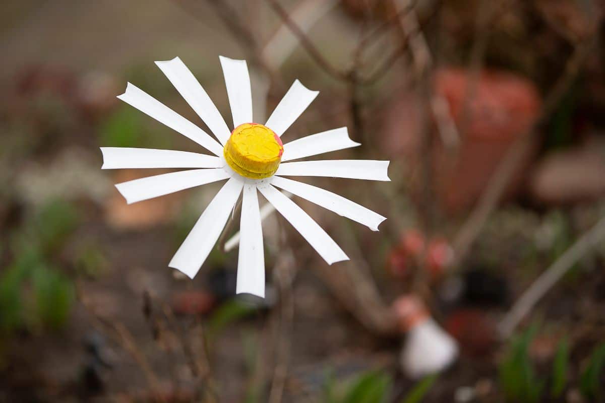 fiori fai da te.jpg