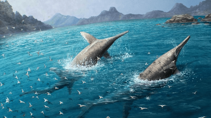giant ichthyosaur m.png