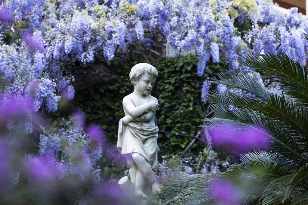glicini villa la pergola.jpg