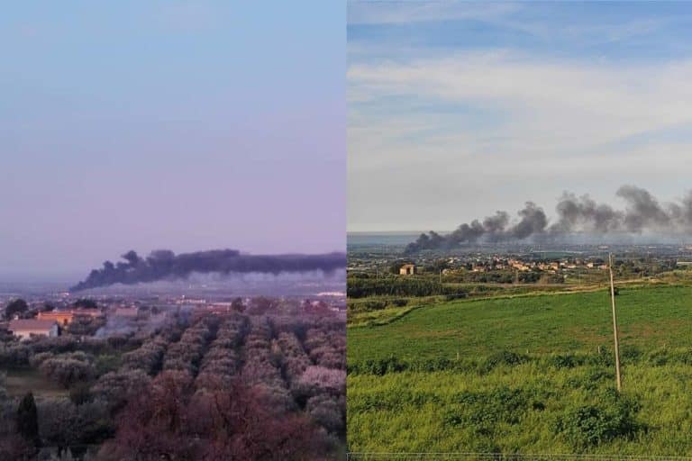 incendio ardea.jpg