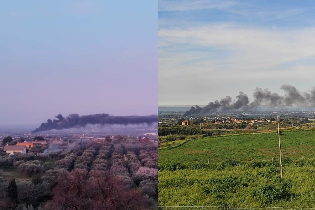 incendio ardea.jpg