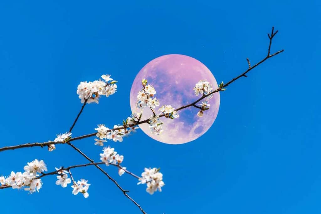 luna rosa 23apr2024.jpg