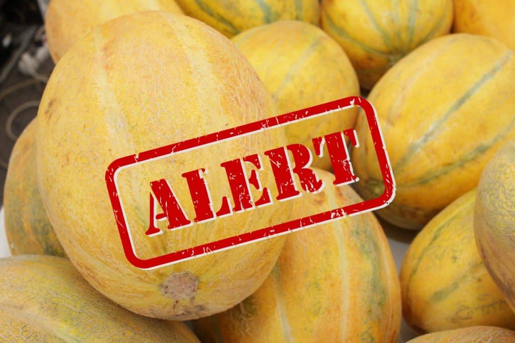 meloni marocco allerta.jpg