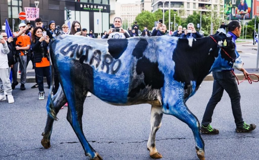 mucca inter.jpg