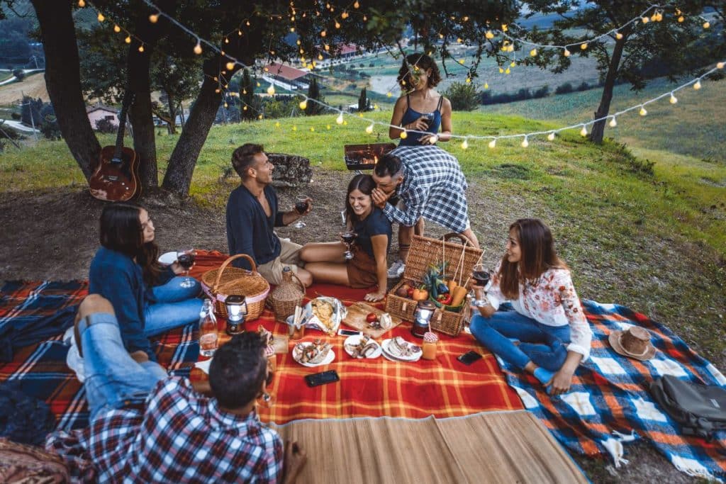 picnic.jpg