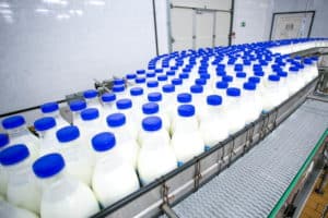 produzione latte.jpg