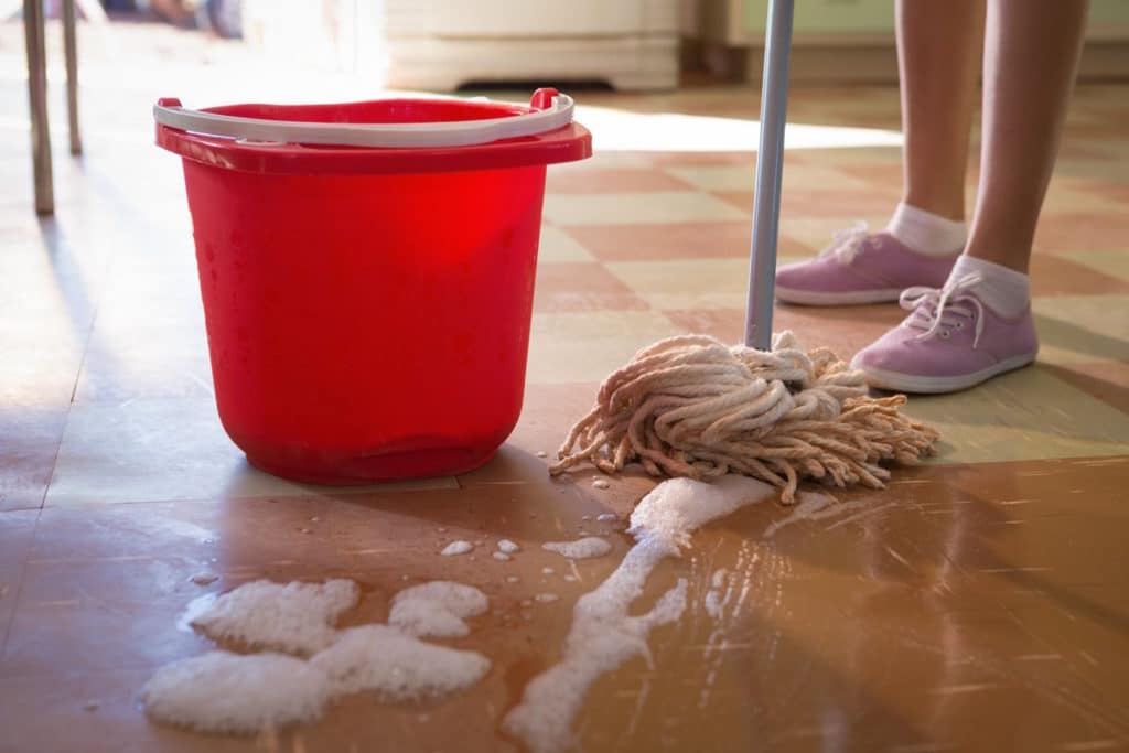 pulizie di casa.jpg