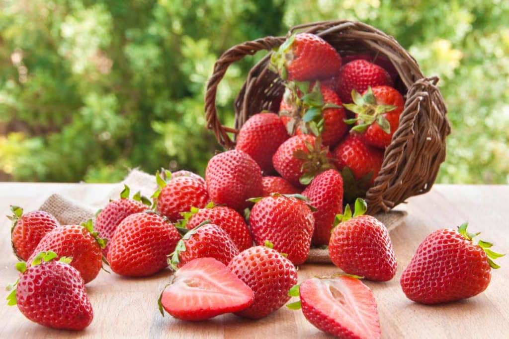 ricette con le fragole.jpg