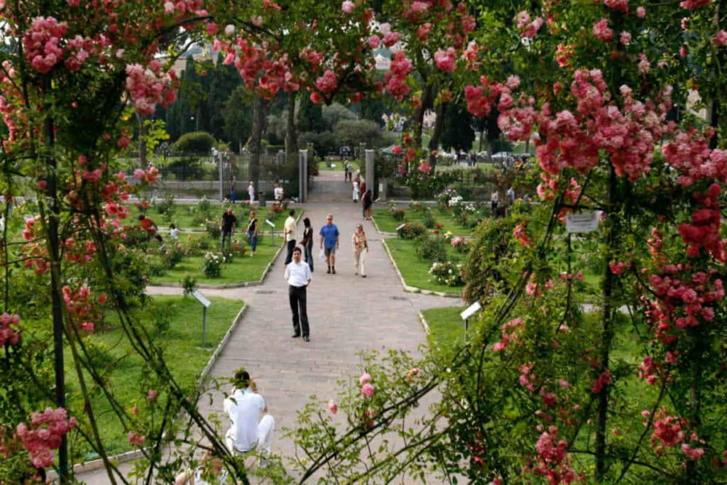 roseto comunale roma.jpg