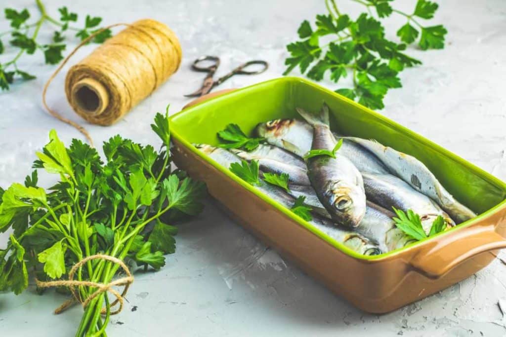 sardine.jpg