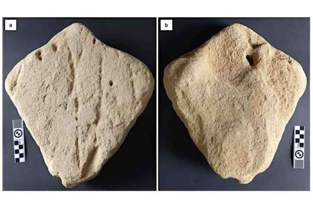 scultura sudafrica pleistocene.jpg