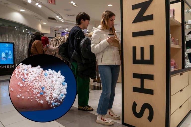 shein microplas.jpg
