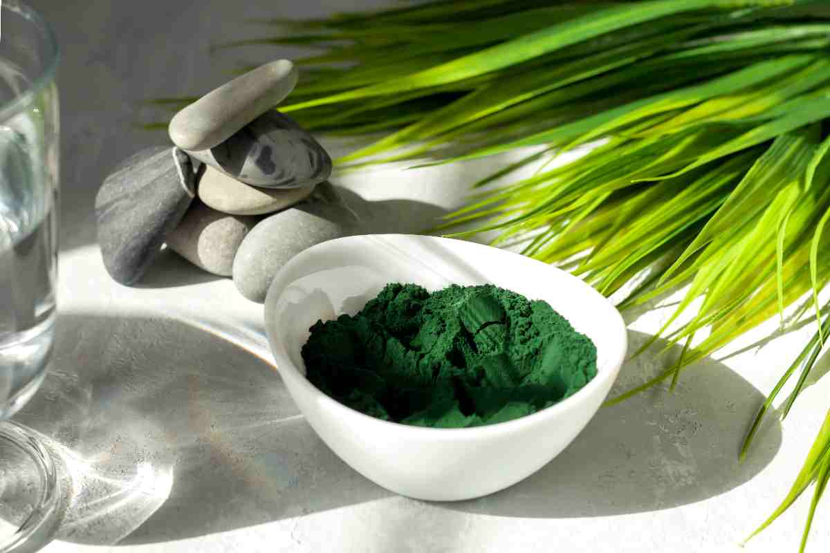 spirulina