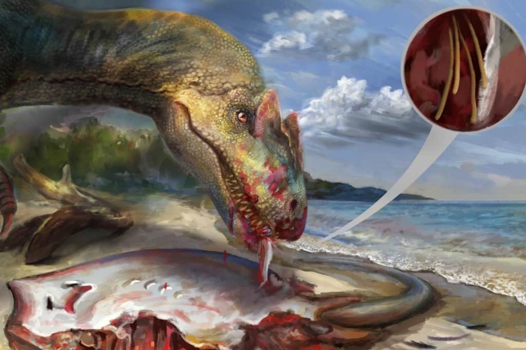 tenia fossile 99 milioni anni.jpg