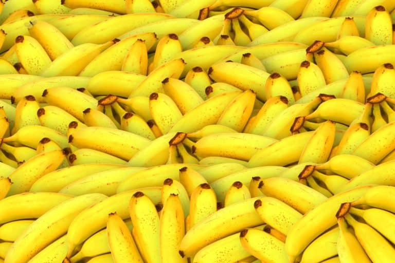 test banane.jpg