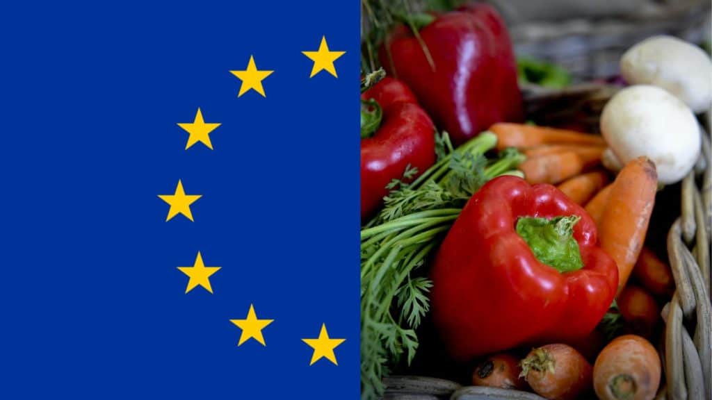 ue vs dieta mediterranea.jpg