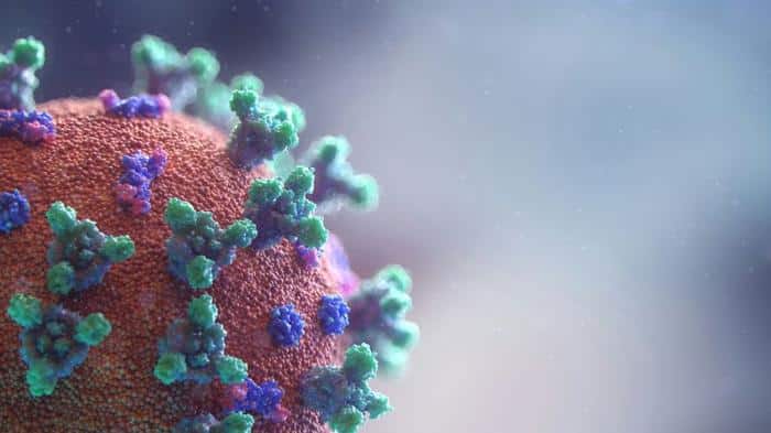 virus m.jpg