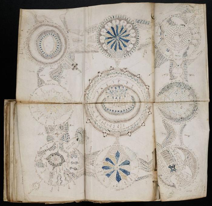 voynich manuscript s famous rosette illustration m.jpg