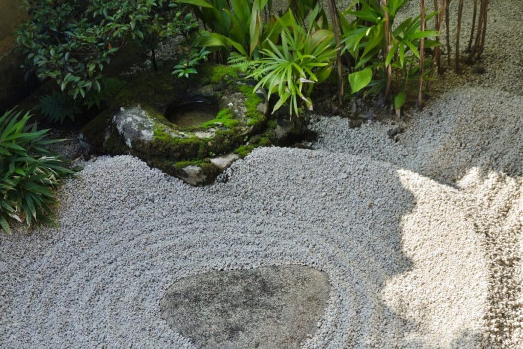 zen garden.jpg