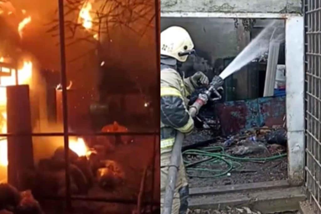 zoo incendio Crimea.jpg