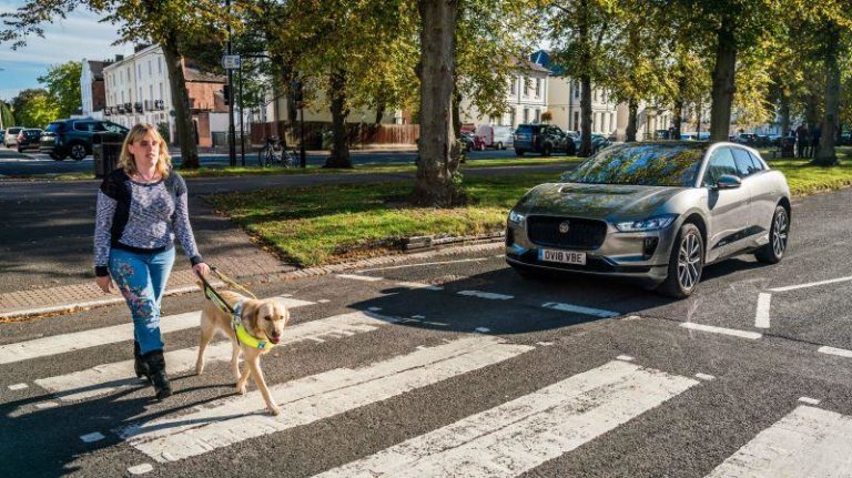 23273 jagipace19myavasimage11101875 cropped.jpg