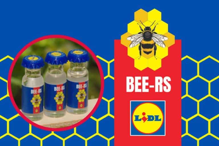 Bee rs lidl con cerchio.jpg