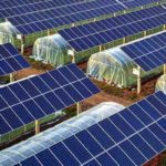 I pannelli solari di questa fattoria turca svolgono una doppia funzione turecosolar.jpg