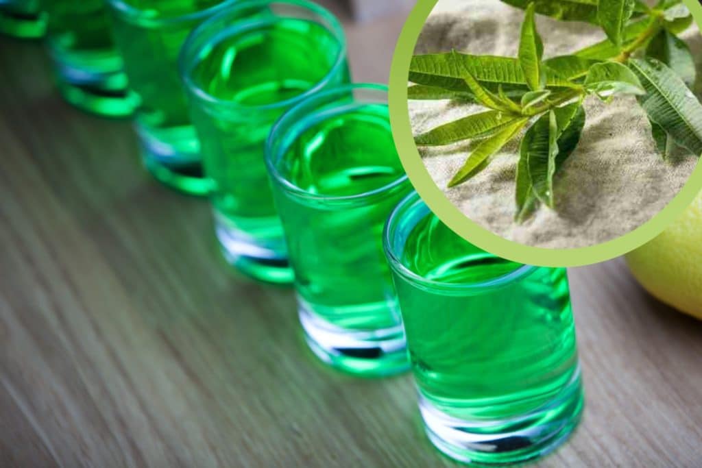 Liquore Erba luisa.jpeg