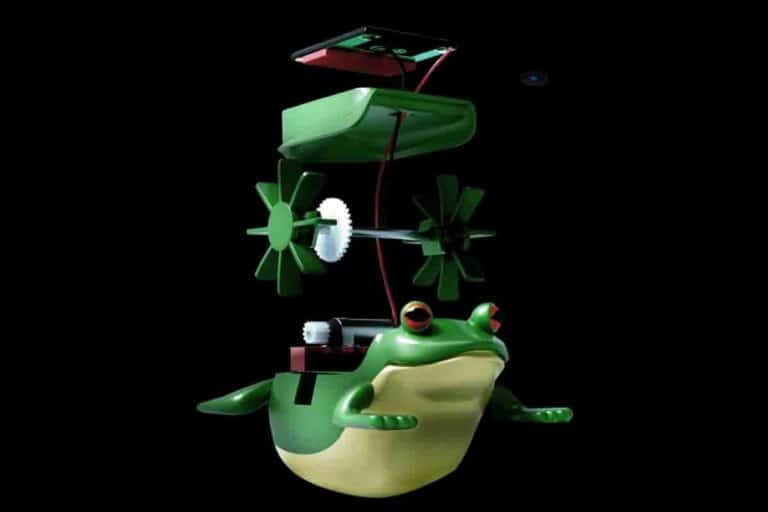 VML The Guardian Toad.jpg