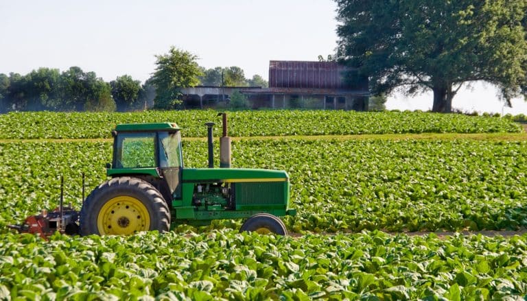 agricoltura 1.jpg
