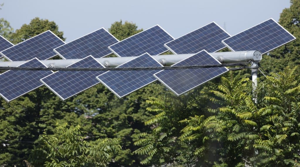 agrivoltaico robero dani.jpg