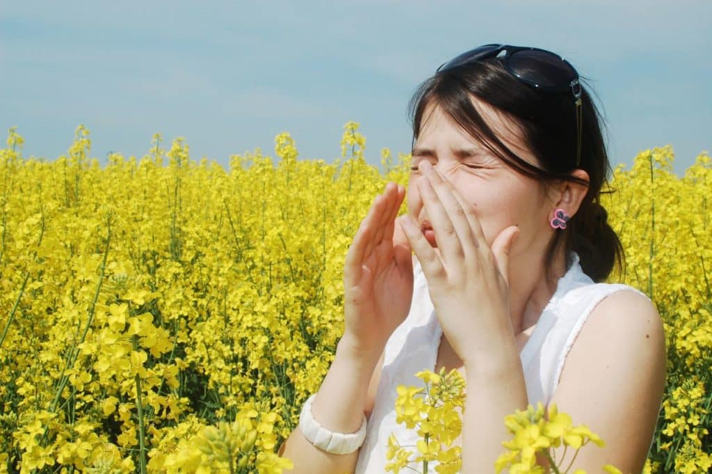 allergie.jpg