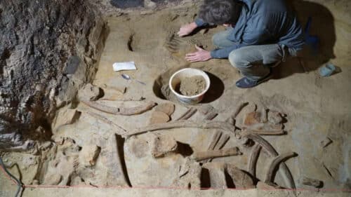 archaeologist alongside mammoth bones 1 500x281.jpg