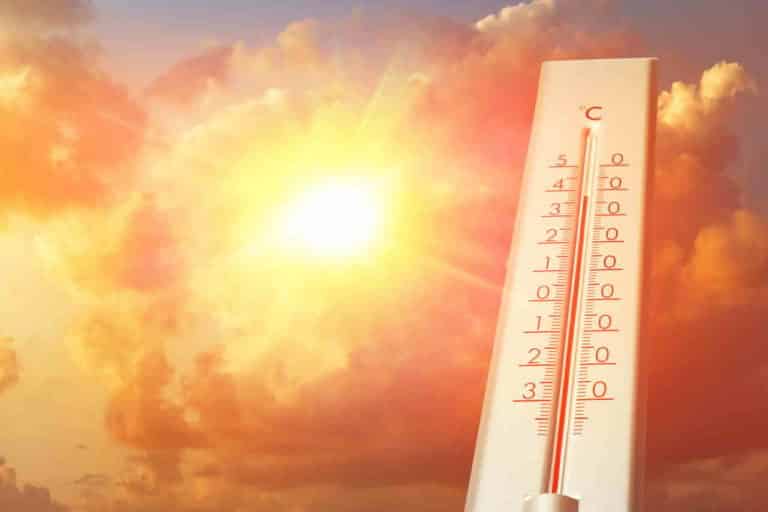 caldo record 2021.jpg