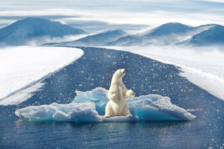 cambiamento climatico patologie neurologiche.jpg