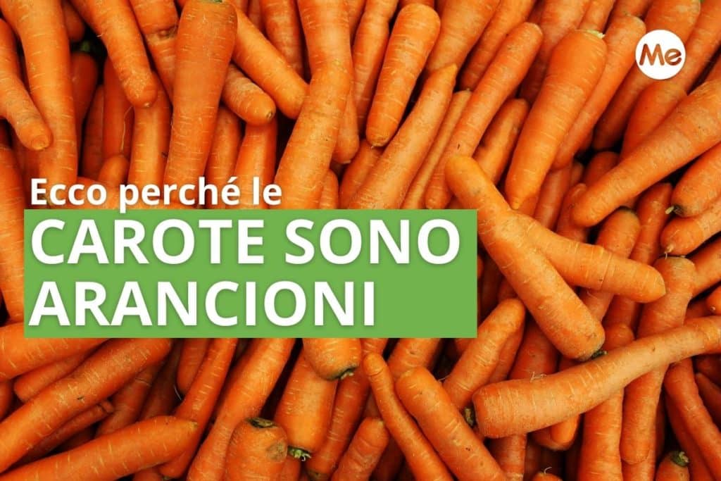 carote arancioni.jpg
