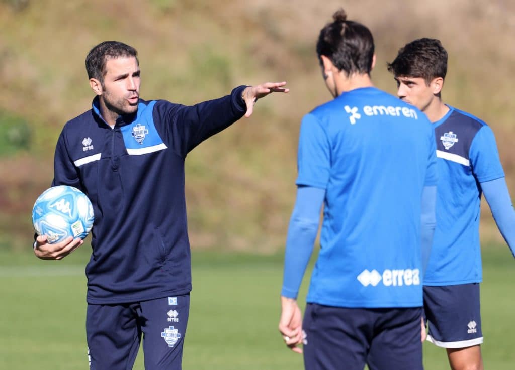 cest fabregas.jpeg