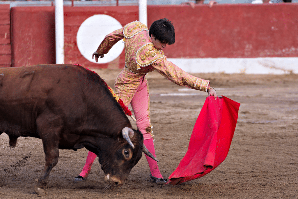 corrida.png