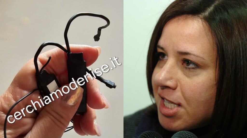 denise pipitone cimici.jpg