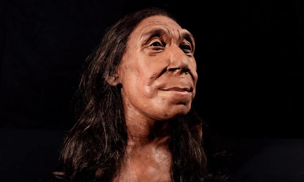 documentario bbc Neanderthal.jpeg