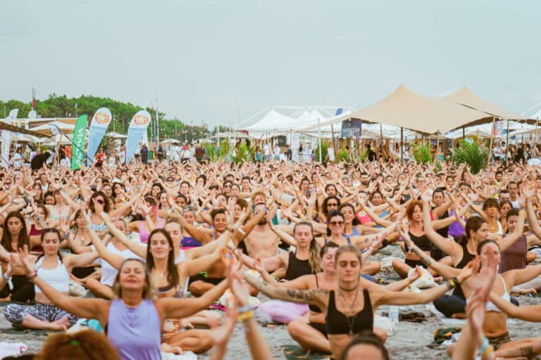 festival 2.jpg