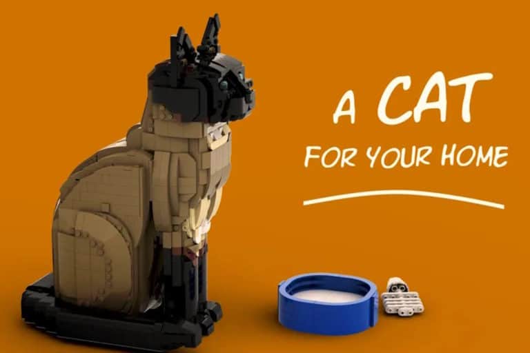 gatto lego.jpg