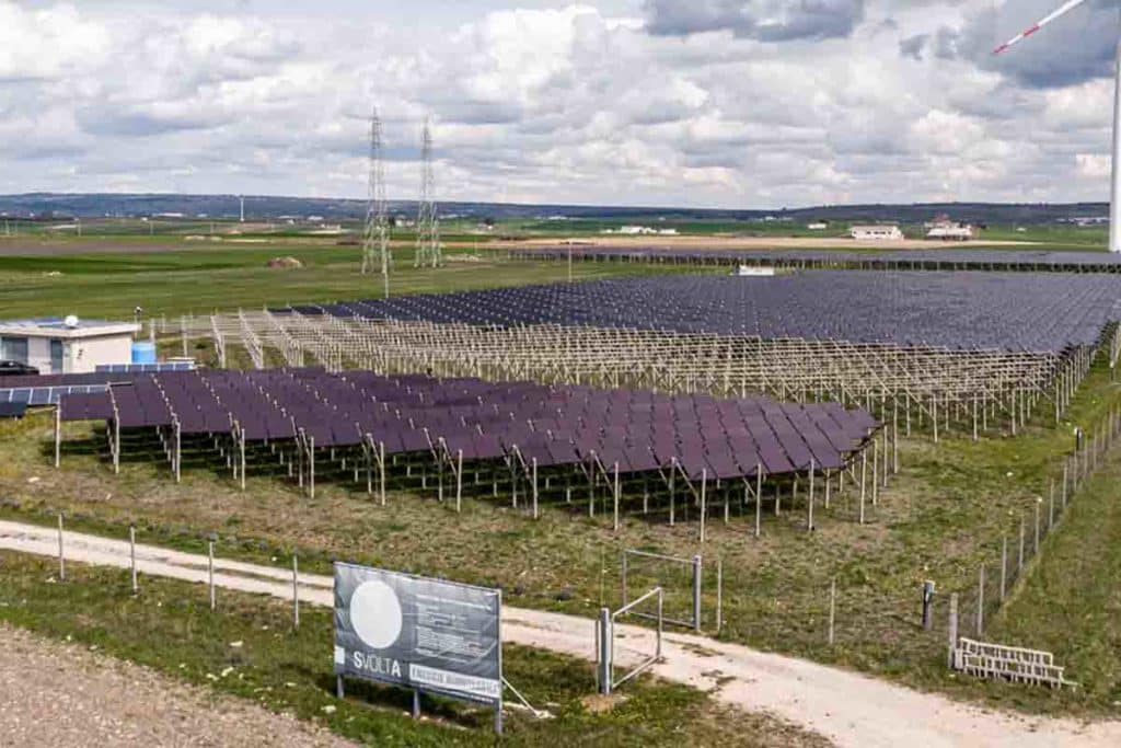 impianto agrivoltaico.jpg