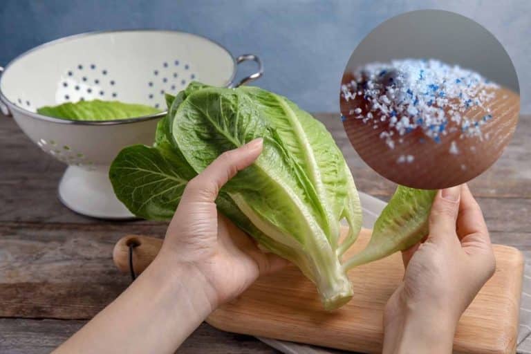 insalata microplastiche.jpg
